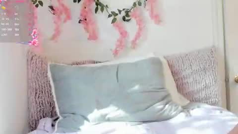 Amelia online show from 06-19-26, 09:40