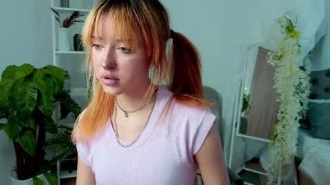    online show from 04-14-26, 11:05