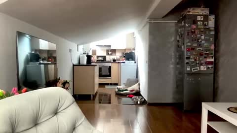 amyroberta92 online show from 02-25-26, 08:13