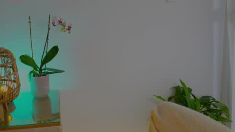 anabelcurvy online show from 05-24-26, 09:58