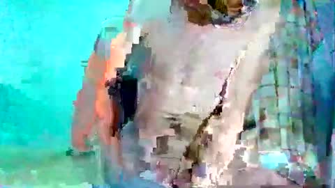 Snapshot of andrescitomessi chatting on 12-05-24, 06:21 FLACO online show from 12-05-24, 06:21