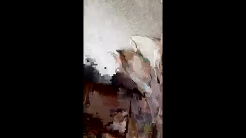 andresvm4796 online show from 04-25-26, 08:06