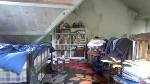 Snapshot of andrew160258 chatting on 06-23-26, 10:46 Andrew online show from 06-23-26, 10:46