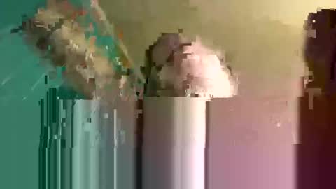 rayray32 online show from 02-17-25, 05:25