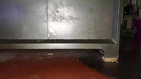 anis4551 online show from 03-16-26, 08:24