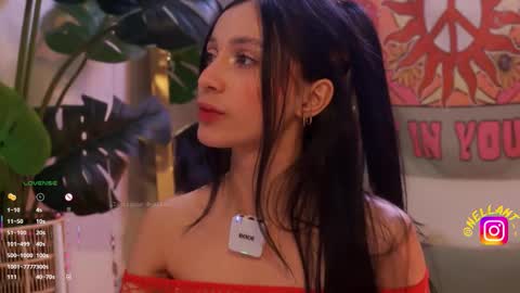 Nell. online show from 02-13-26, 07:43