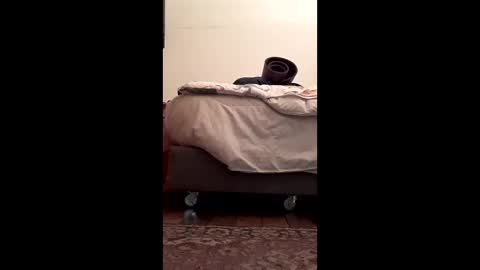 Snapshot of antonino85 chatting on 02-10-26, 05:17 antonino85 online show from 02-10-26, 05:17