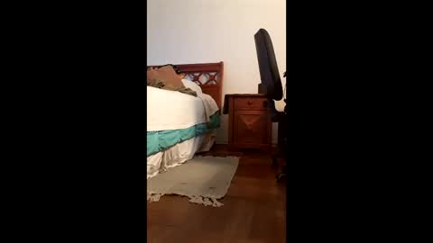 Snapshot of antonino85 chatting on 02-20-26, 09:48 antonino85 online show from 02-20-26, 09:48