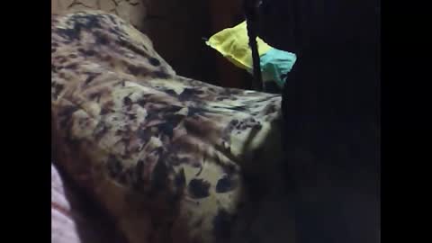 Snapshot of ara_bellah chatting on 03-21-26, 08:34 ara bellah online show from 03-21-26, 08:34