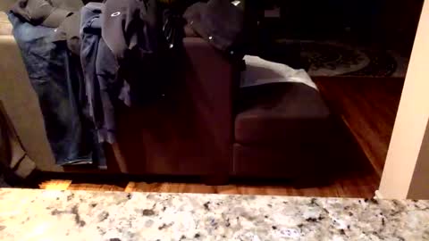 Snapshot of arabiandream21 chatting on 01-16-26, 10:19 Knowledgeiskeyy online show from 01-16-26, 10:19