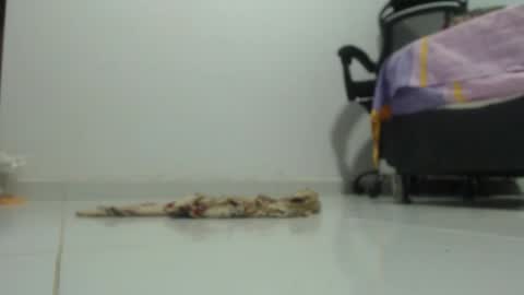 ...Ariana... online show from 01-29-25, 06:18