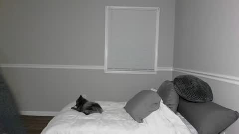 Snapshot of ariicutekitty chatting on 07-28-26, 02:51 airskiii online show from 07-28-26, 02:51