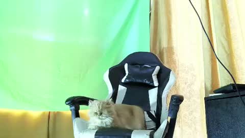 aronmiller online show from 07-21-26, 02:08