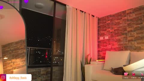 Ashley Fox online show from 03-07-26, 01:13