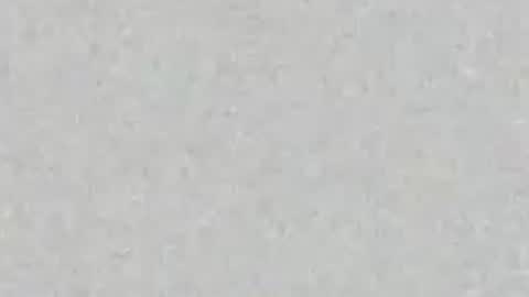 Carolina online show from 07-23-26, 12:25