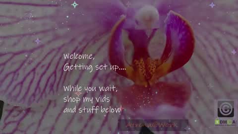 Atrena online show from 01-15-26, 02:38