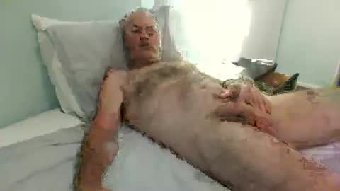 Snapshot of auckland26 chatting on 12-02-25, 09:47 auckland26 online show from 12-02-25, 09:47