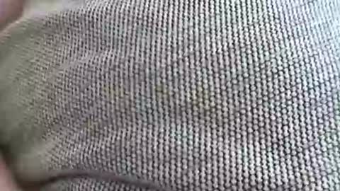 babydollxoxoxo123 online show from 04-07-26, 09:21