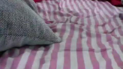 babydollxoxoxo123 online show from 04-19-26, 06:21