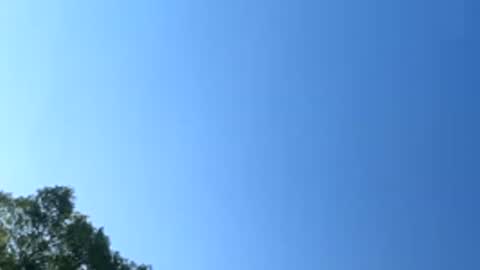 babyleggreg6 online show from 05-26-26, 11:56