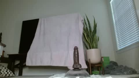 bambirachel1 online show from 06-23-26, 11:36