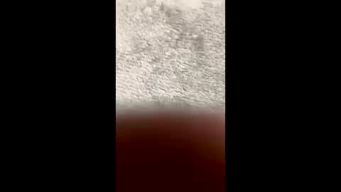 BarbaraDavid online show from 03-10-26, 03:28