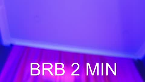 Barbara online show from 07-20-26, 10:39
