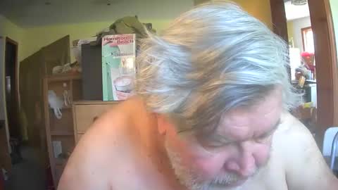 bear online show from 04-26-26, 02:37