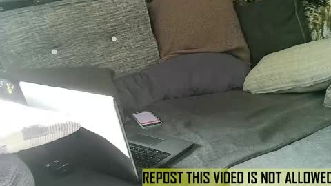 bearlov1 online show from 05-14-26, 07:26
