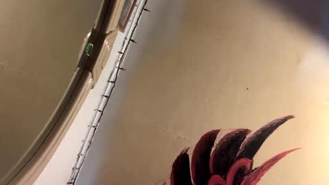 Mikes room online show from 04-02-26, 09:56