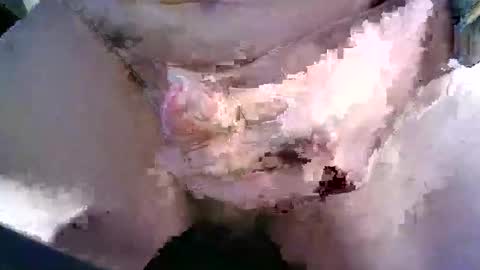 behn1983 online show from 03-28-26, 10:48