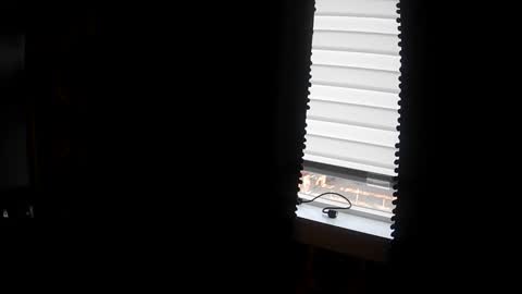 belessa4u online show from 03-20-26, 12:48