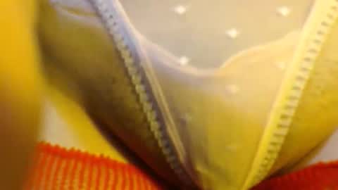 bellafox online show from 05-27-26, 05:21