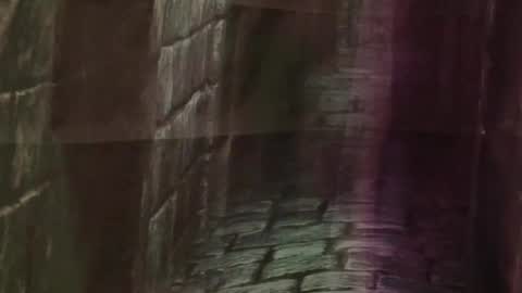 Bellaskeykeeper online show from 03-01-26, 07:54