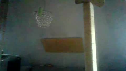 benizio online show from 01-24-25, 02:41