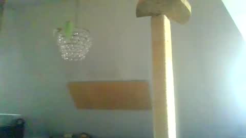 benizio online show from 01-30-25, 11:01