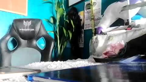 Snapshot of bheb_ji chatting on 02-15-26, 06:10 bheb_ji online show from 02-15-26, 06:10