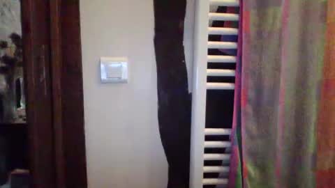 bibipheuck online show from 02-04-26, 08:53