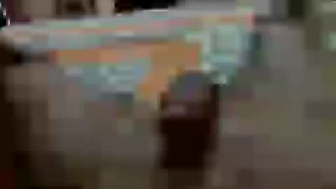 big_dick_sam_alig online show from 08-07-26, 08:05