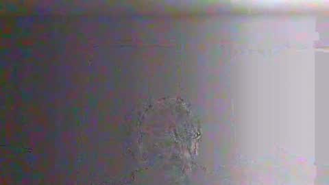 bigalnoone online show from 03-26-26, 10:04