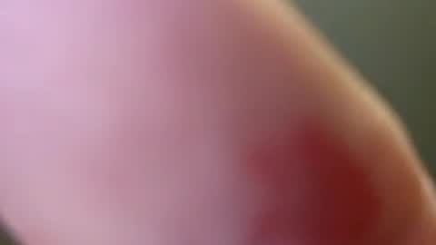 bigbennyflex online show from 07-06-26, 04:20