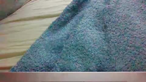 bigbootydimpless online show from 01-04-25, 03:50