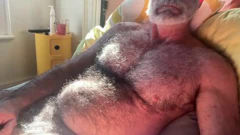 big bush online show from 07-13-26, 02:03
