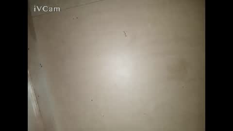 Snapshot of bigdick666cm chatting on 03-13-26, 03:29 Big online show from 03-13-26, 03:29