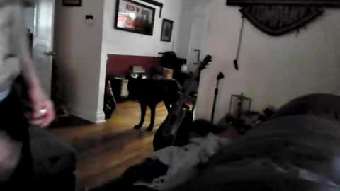 bigdickdaddy7201979564868 online show from 05-24-26, 09:42