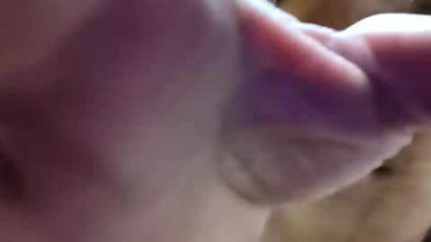Snapshot of bigdickdaddy7201979564868 chatting on 06-10-26, 08:24 bigdickdaddy7201979564868 online show from 06-10-26, 08:24