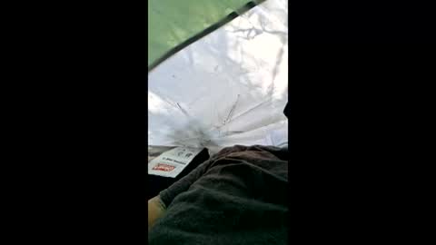 bigdicktatteddaddy online show from 04-04-26, 02:03
