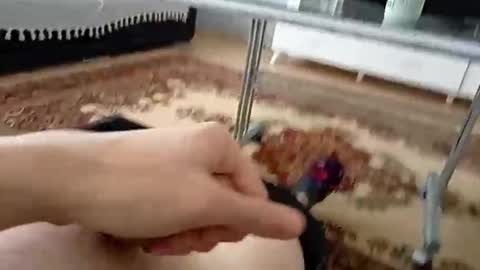bighardlongdick20cm online show from 05-24-26, 11:37