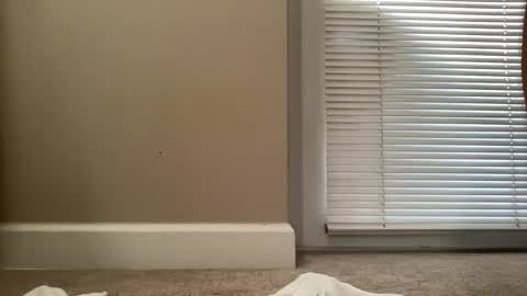 bigjohnsmith5 online show from 02-11-25, 09:03