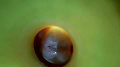 bigmoneycorey online show from 03-16-26, 06:56